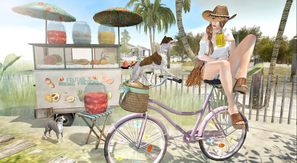 Top Free Things to Do in Brno: A Budget Travel Guide