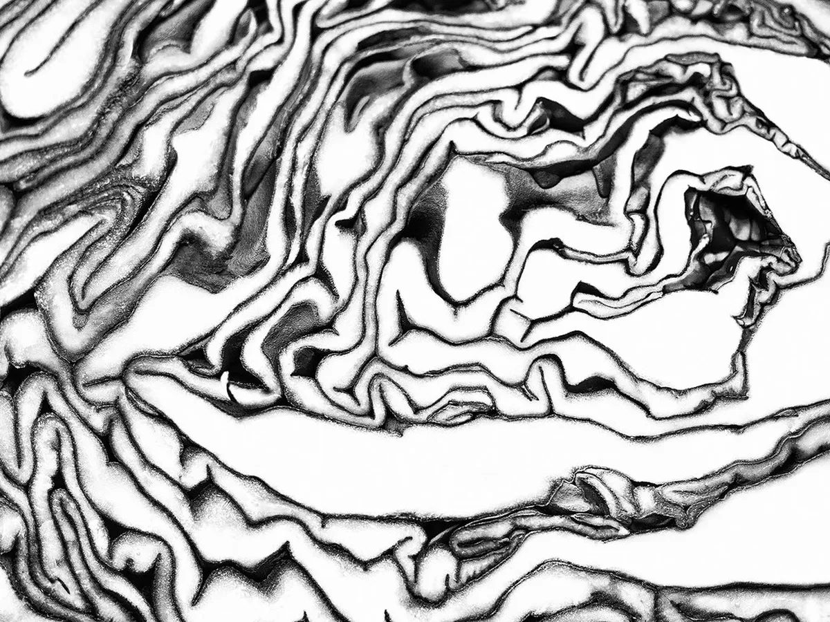 Explore the Labyrinth Under Cabbage Market in Brno