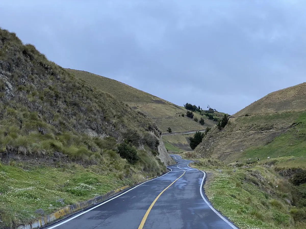 Brno Public Transport Guide: Explore Old Town Easily