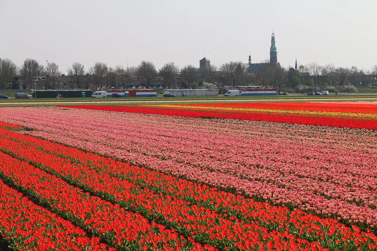 Where to Park in Brno Old Town: Your 2025 Guide