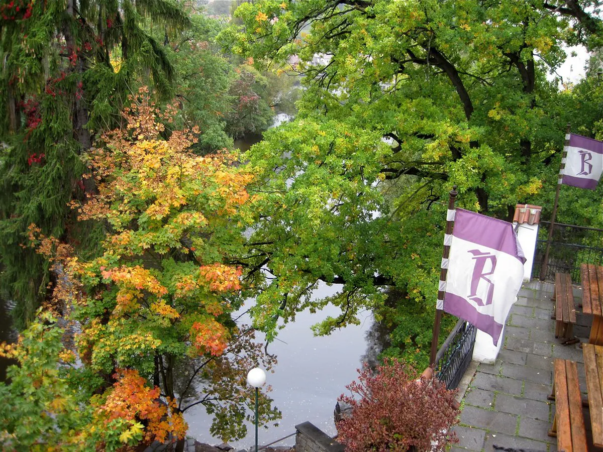 Top Rated Restaurants Český Krumlov Old Town: 2025 Dining Guide