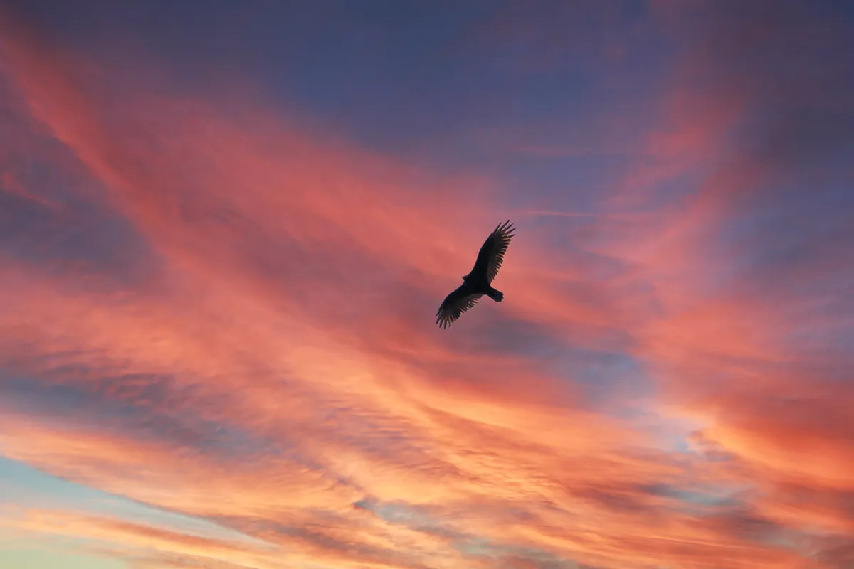 Where to Buy Local Crafts in Český Krumlov (2025 Guide)