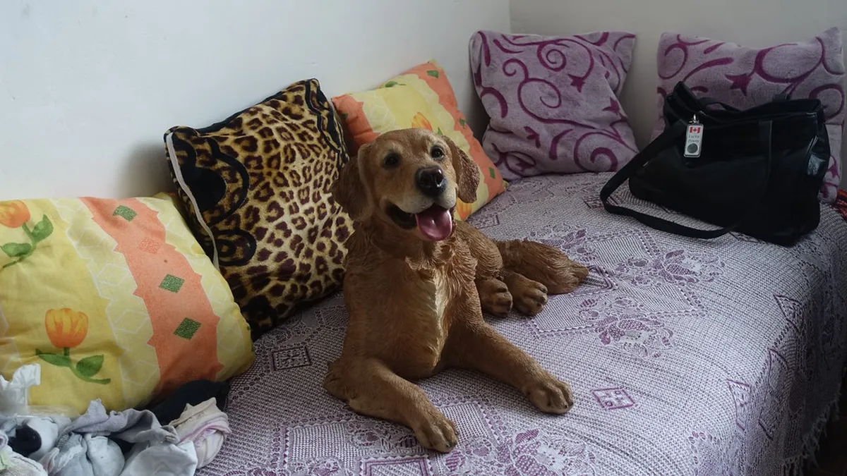 Karlovy Vary Pet Friendly: A Complete Guide for 2025