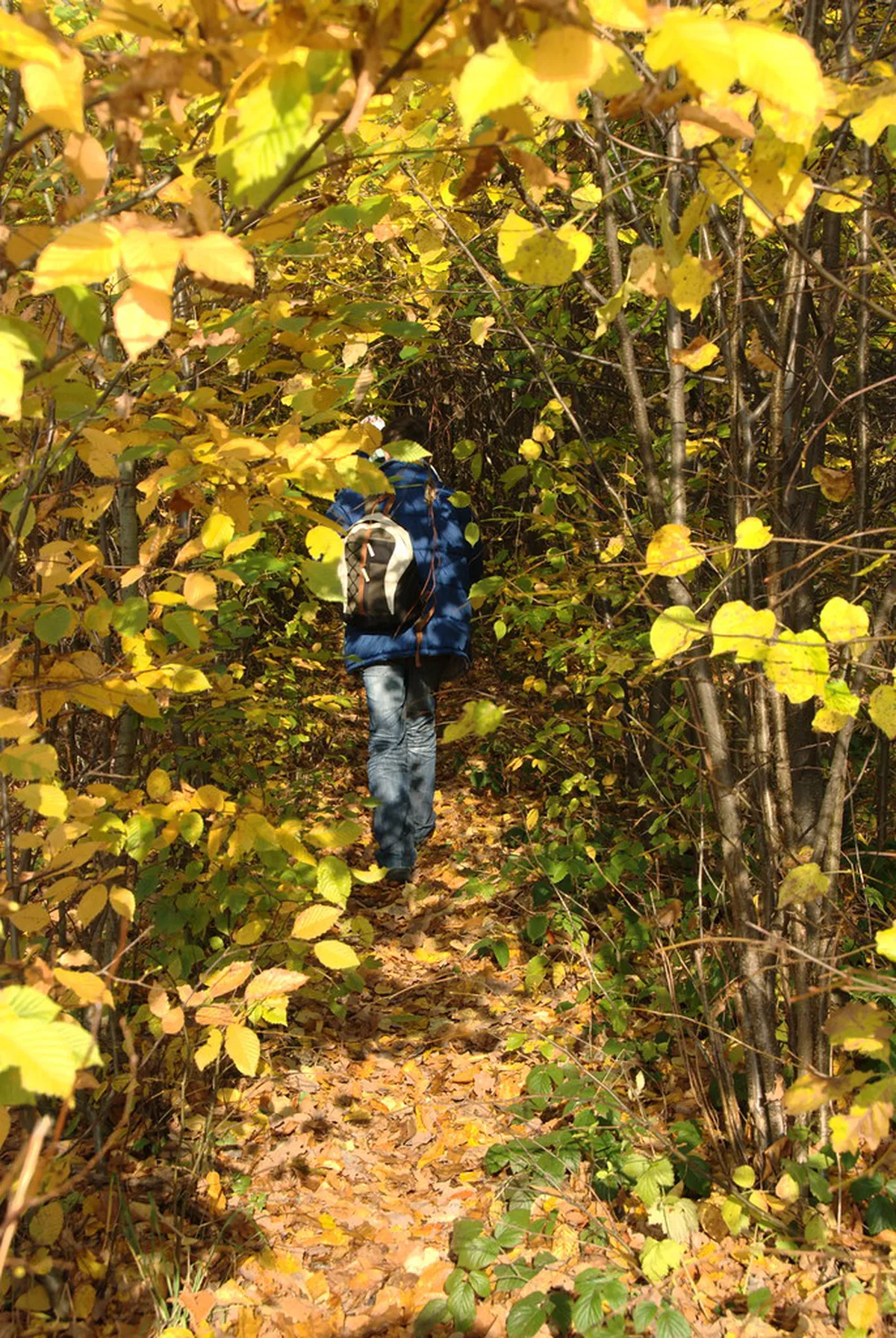 Olomouc Hidden Gems Guide: Uncover Secret City Spots