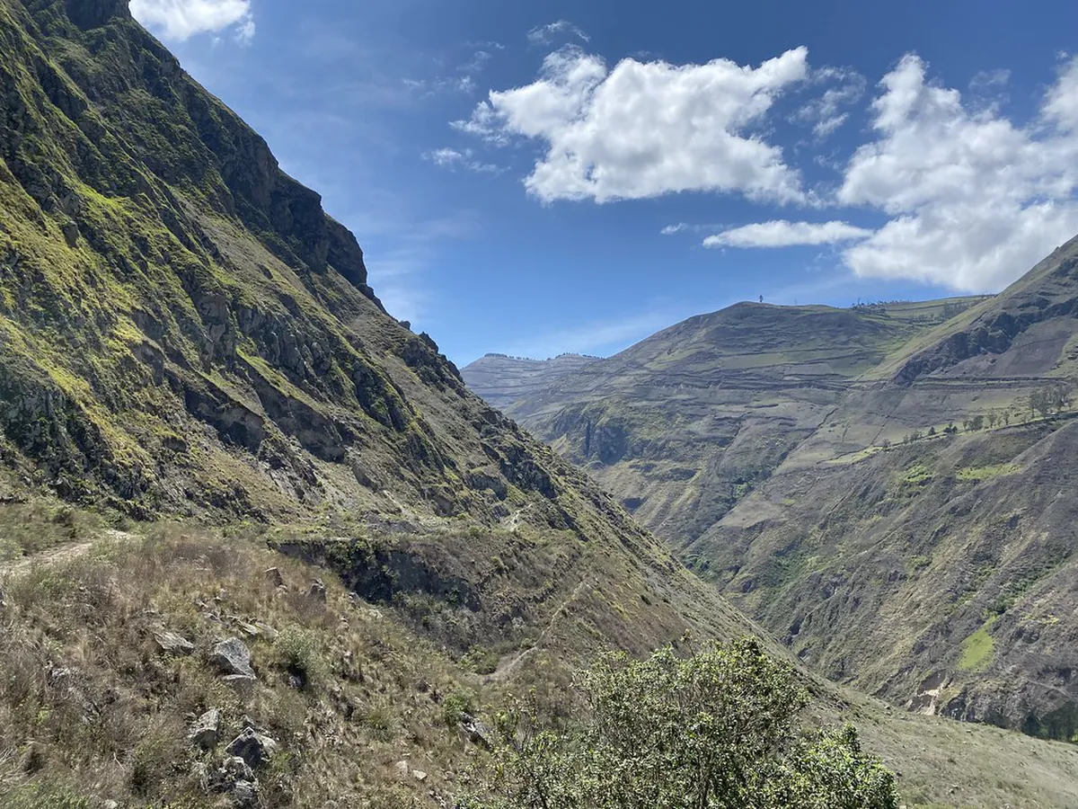 Where to Buy Authentic Olomouc Tvarůžky Cheese