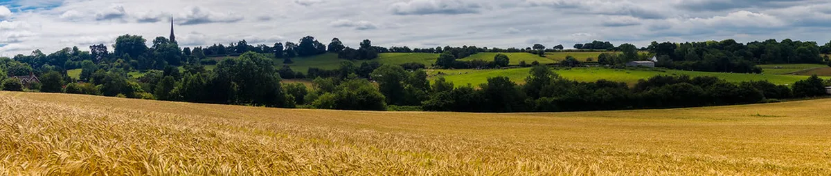Climbing St Bartholomew's Plzeň Tower in 2025