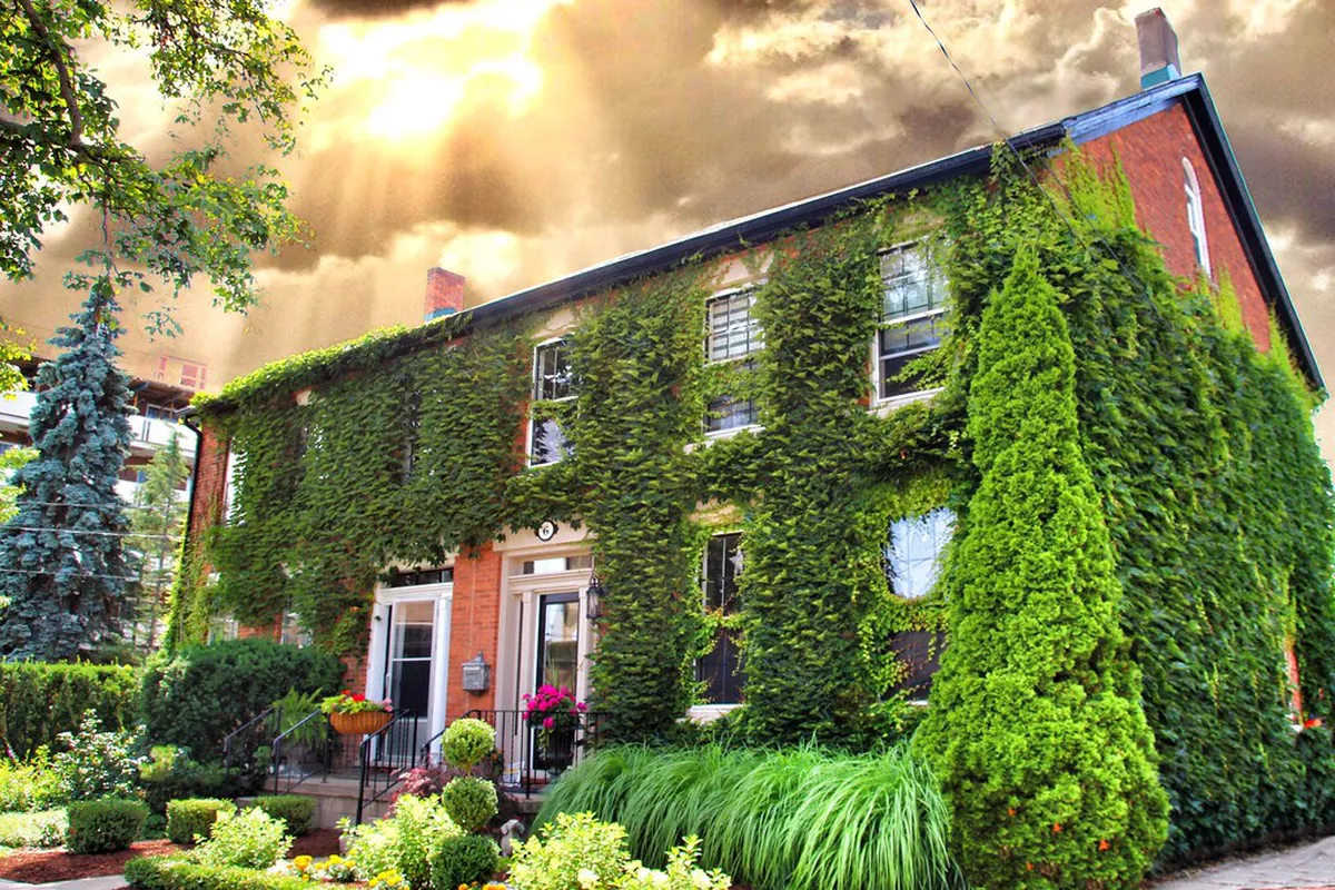 Map of Historical Walking Tour Plzeň 2025