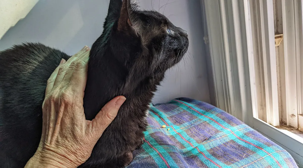 Fun Family Things to Do in Plzeň, Czech Republic