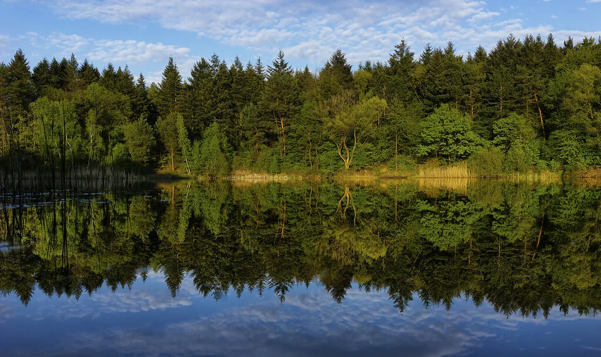 Walking Distances in Plzeň Old Town: Your Guide