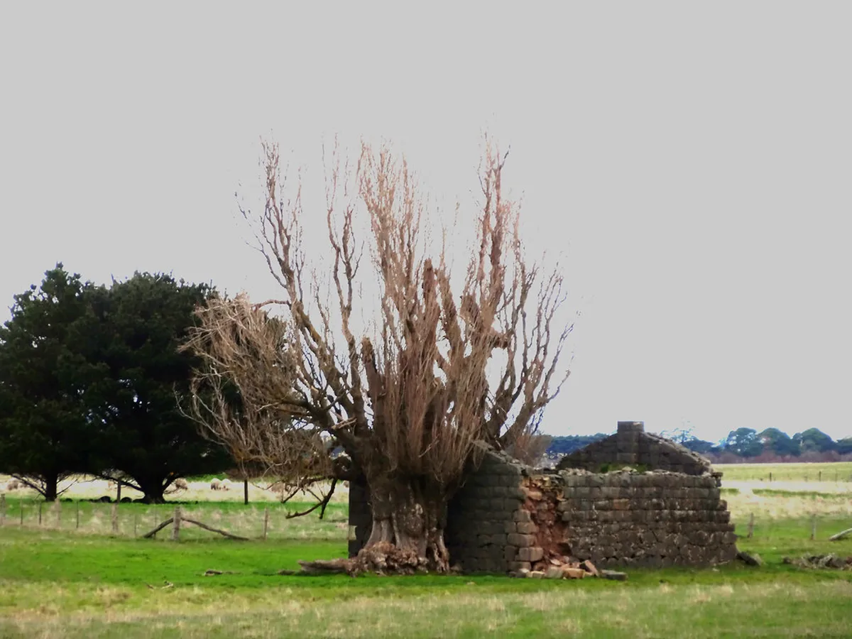 Where to Buy Traditional Czech Crafts in Plzeň