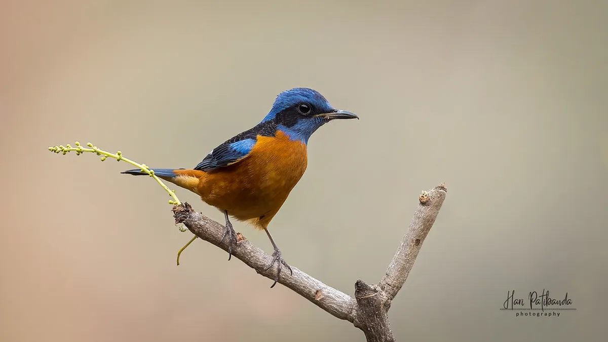 Discover Charming Winter Activities in Plzeň Old Town