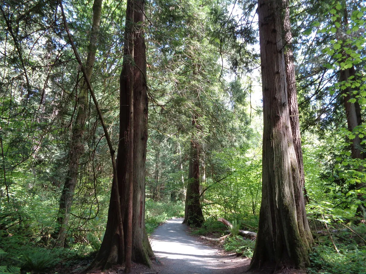 Easy Excursions from Prague City Center in 2025