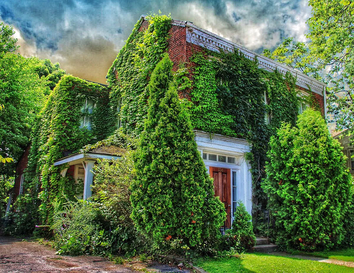 Best Historical Walking Tours Old Town Prague 2025