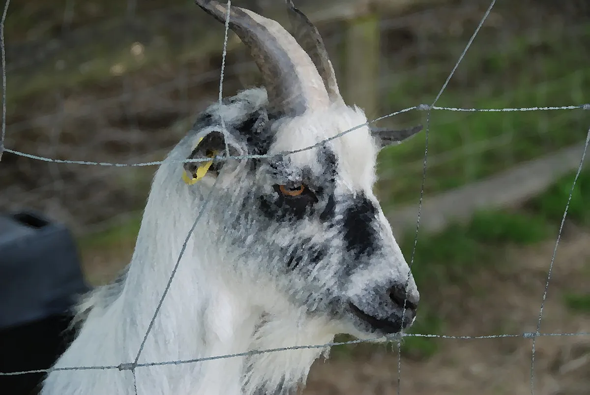 Kid-Friendly Prague Old Town: Top Attractions for Families