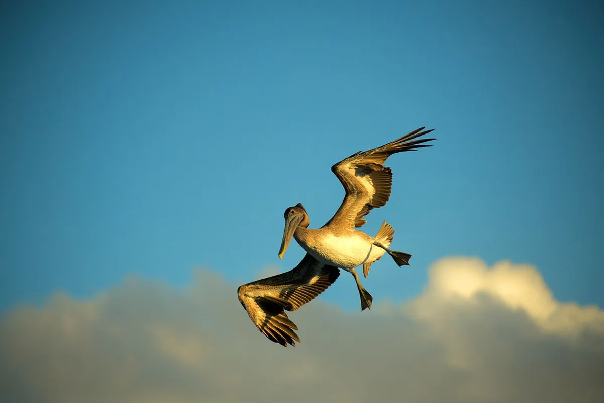 Safe Travel Tips in Prague for a Worry-Free 2025 Trip