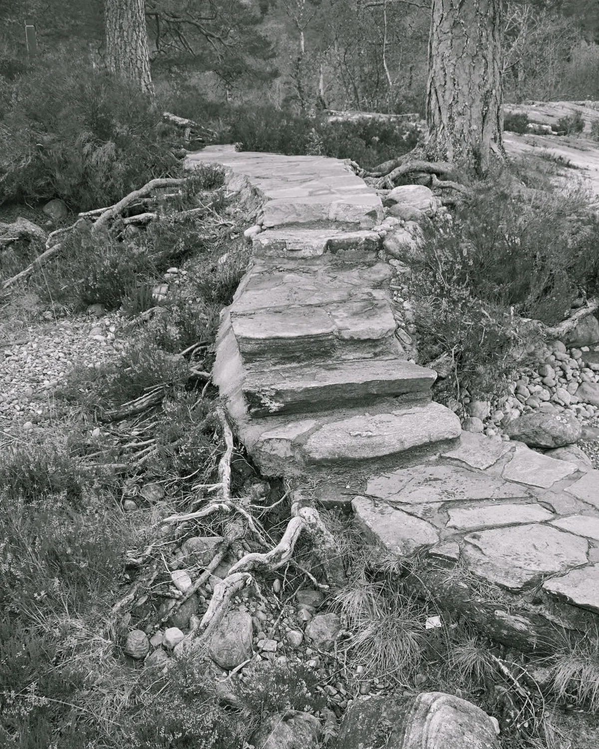 Wheelchair Friendly Places in Old Town Prague 2025